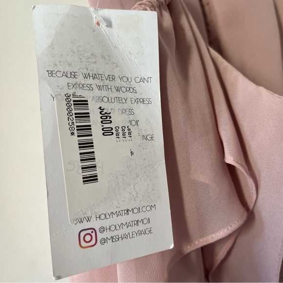 Hayley Paige NEW Prom Chiffon Occasions Bridesmaid Dress size 10 in Dusty Rose - Picture 12 of 16